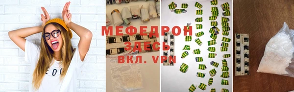 индика Медногорск