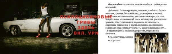 индика Медногорск
