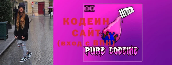 индика Медногорск
