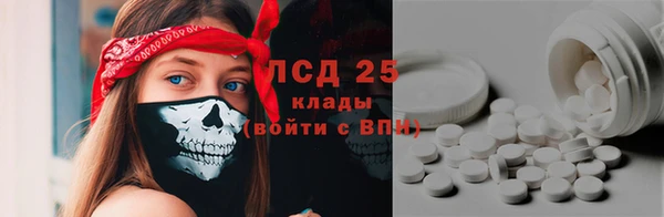индика Медногорск