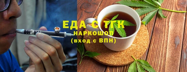 индика Медногорск