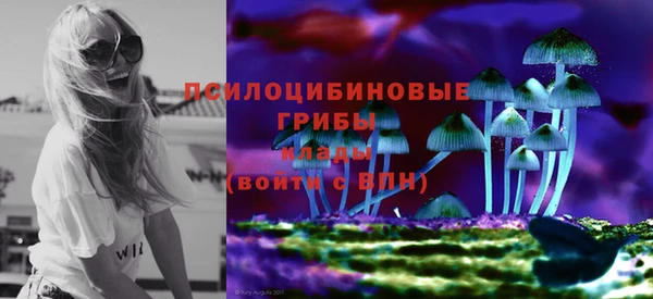 индика Медногорск