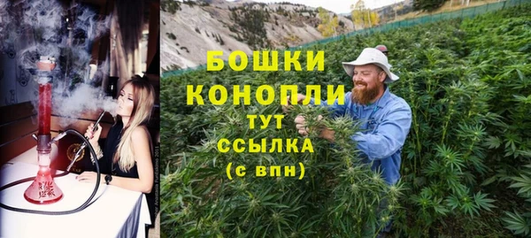 индика Медногорск