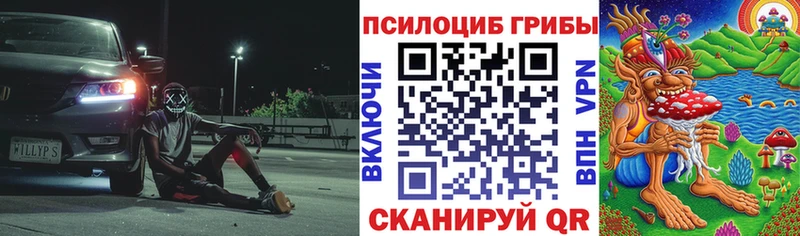 Псилоцибиновые грибы Psilocybine cubensis  наркошоп  mega ссылка  Долинск 